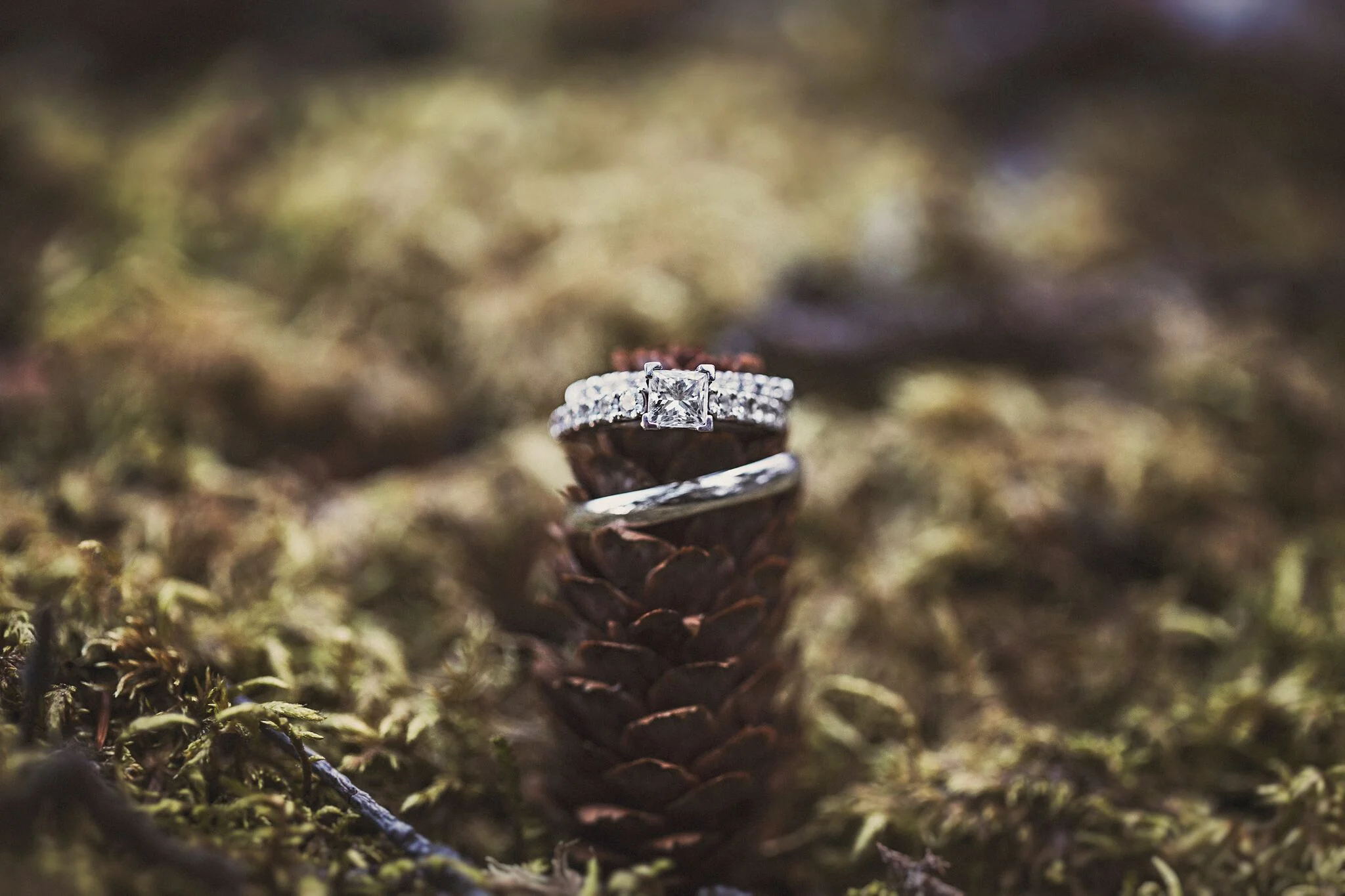Alaska Destination Wedding
