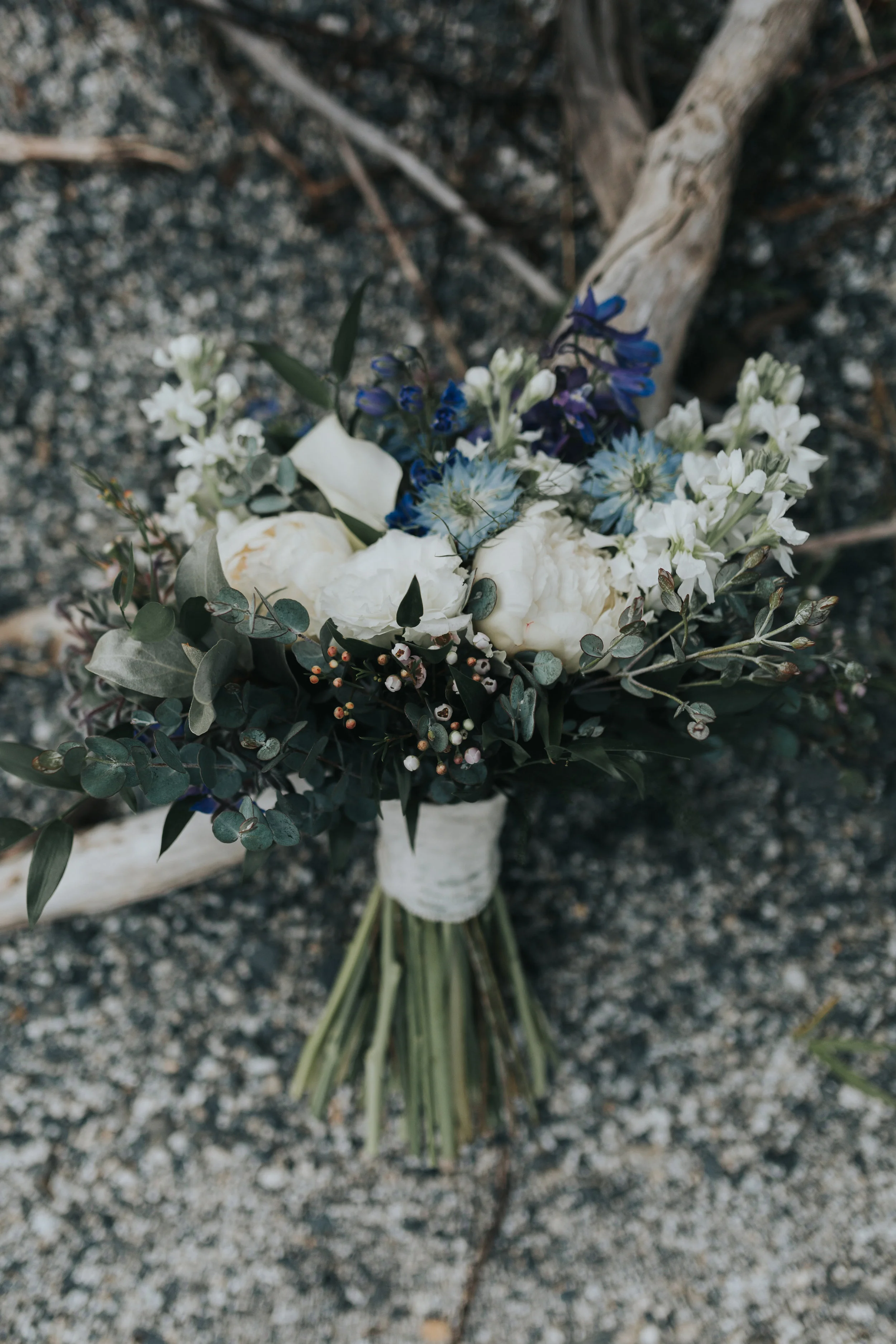 Elope to Alaska