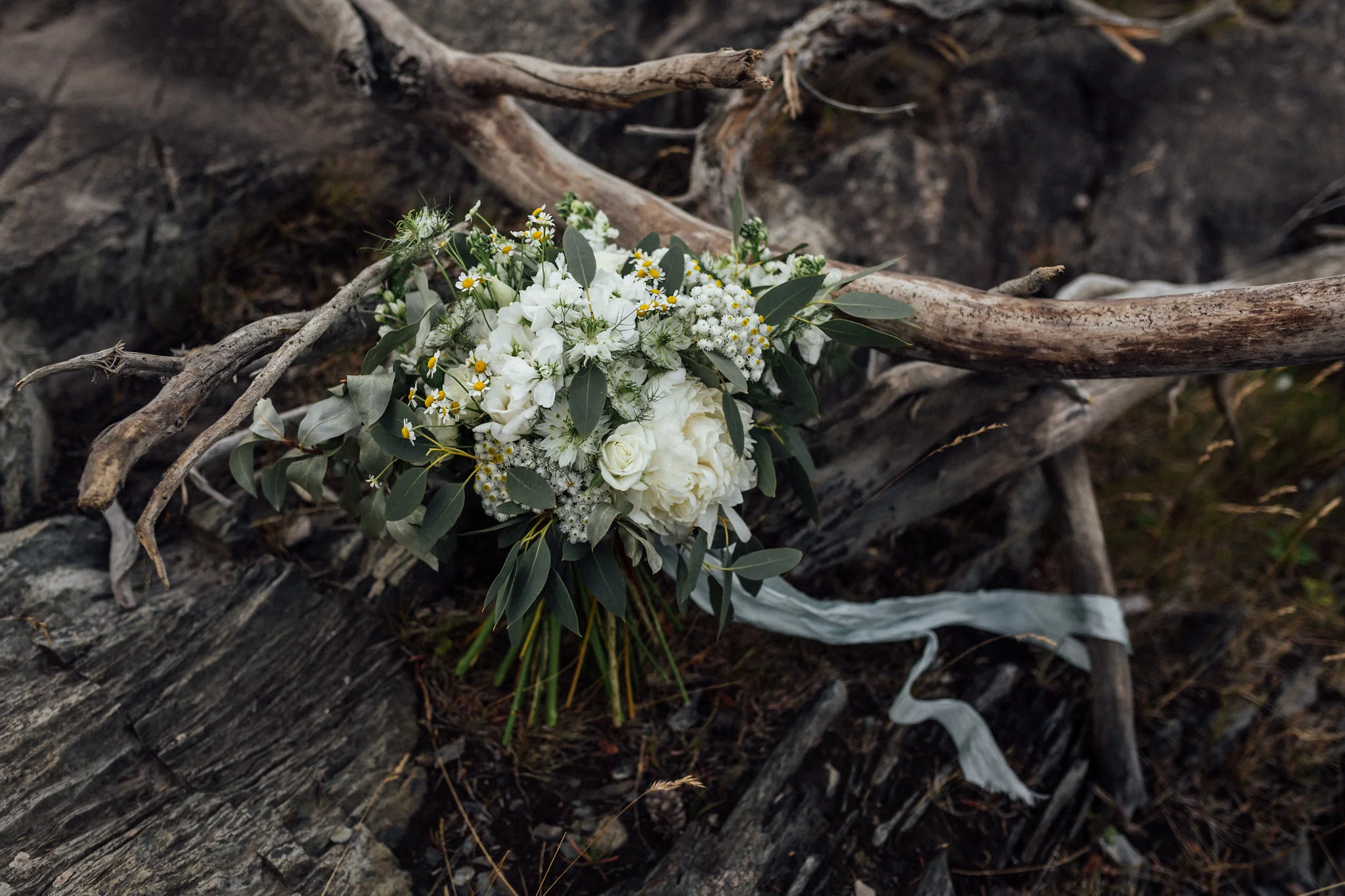 Alaska Destination Weddings
