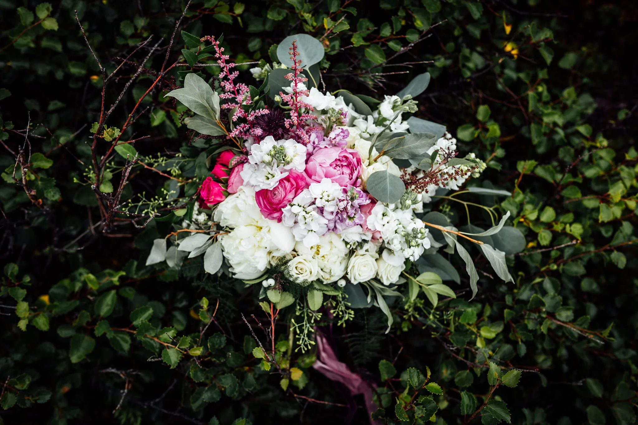 Elope in Alaska - Alaska Destination Weddings - Glacier Elopement