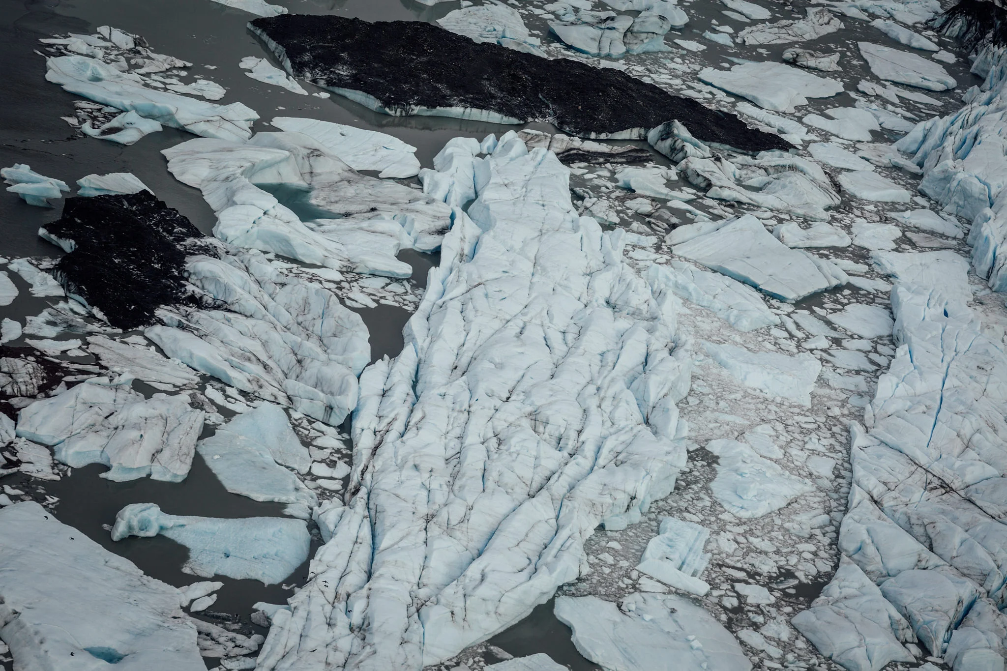 Elope in Alaska - Alaska Destination Weddings - Glacier Elopement