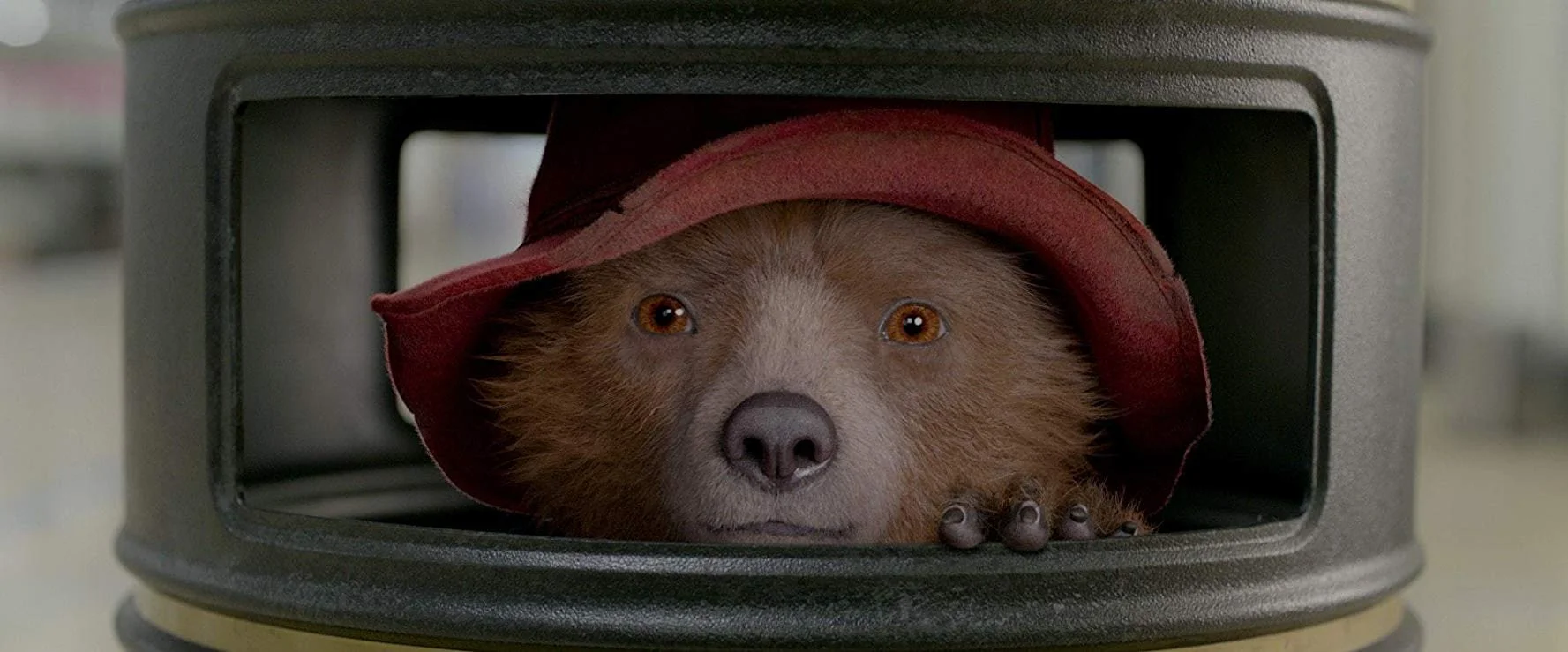 bear.jpg