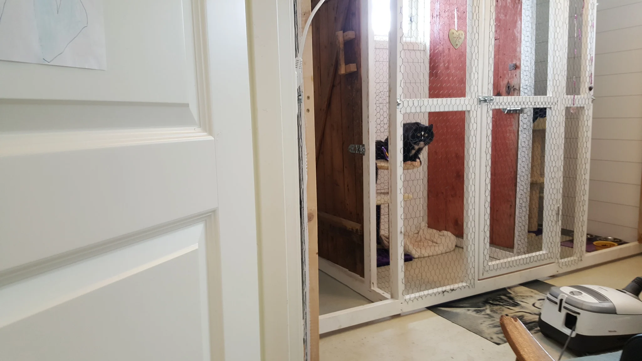 Vår praktiske løsning som vi er så fornøyd med! Her er begge siderommene til rengjøring, mens pus er i den midterste. Våre gjester får alltid trippel rom når de er alene katt på dyrehotellet. Fra juni 2017 er også vær utegård helt klar til bruk! Vi gleder oss over å ha et veldig bra tilbud til puser. Grunnen til at vi klarer å gjøre det så bra for pusene er først og fremtst fordi vi har få og eksklusive plasser. Pus er ikke flokkdyr på samme måte som mennesker og hund, og trives derfor med oversikt over hvem, og helst ikke for mange i samme område. Også det at vi bruker mye tid på kos og lek er en viktig grunn til suksess! Vi har fortløpende rengjøring, både hos pus og passop. Det skal ikke være nødvendig å møte på møkk i doskåla eller i luftegård.