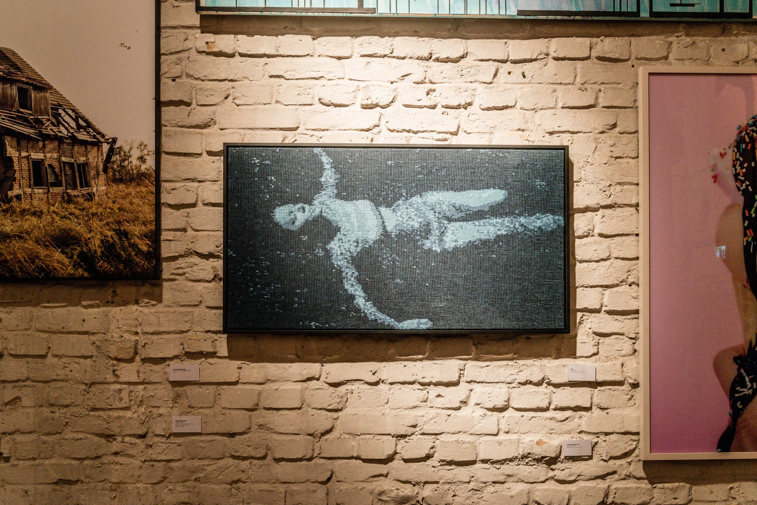 DSC_8643.jpg