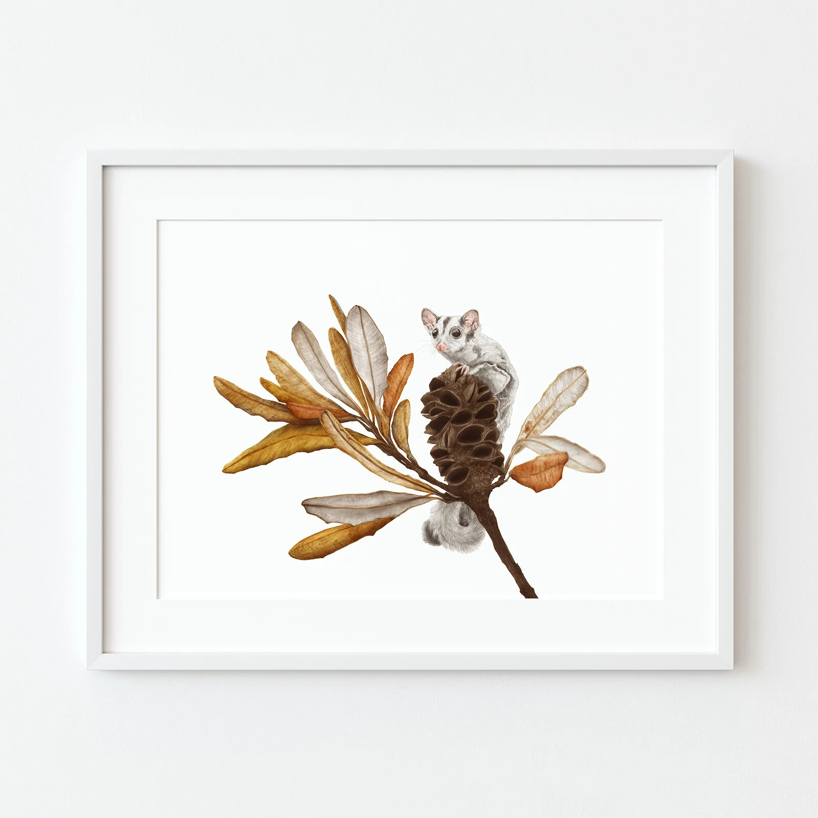 jo-murphy-sugar-glider-print-frame.jpg