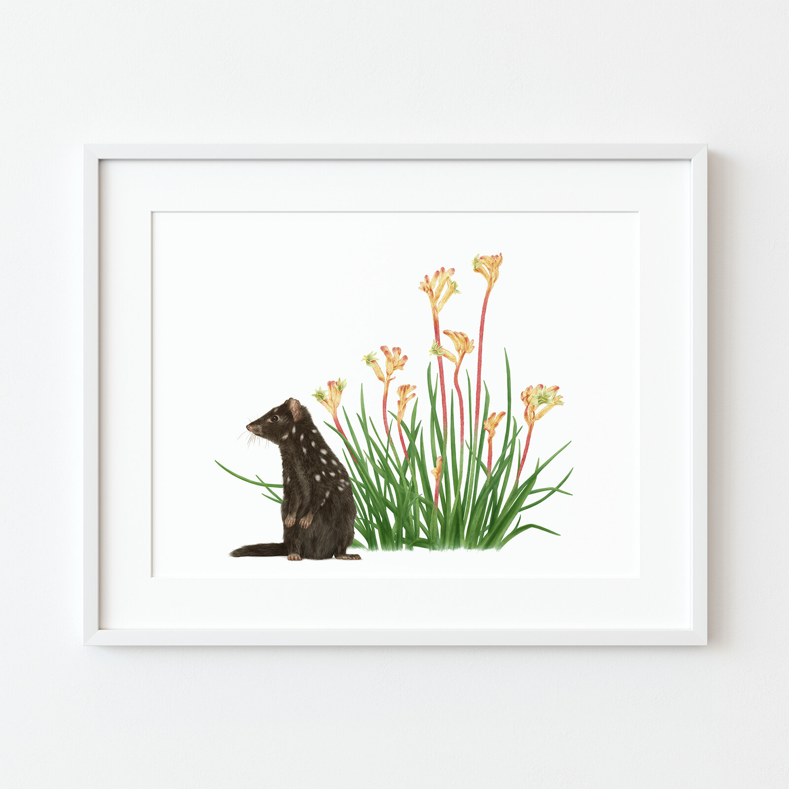 jo-murphy-quoll-print-frame.jpg