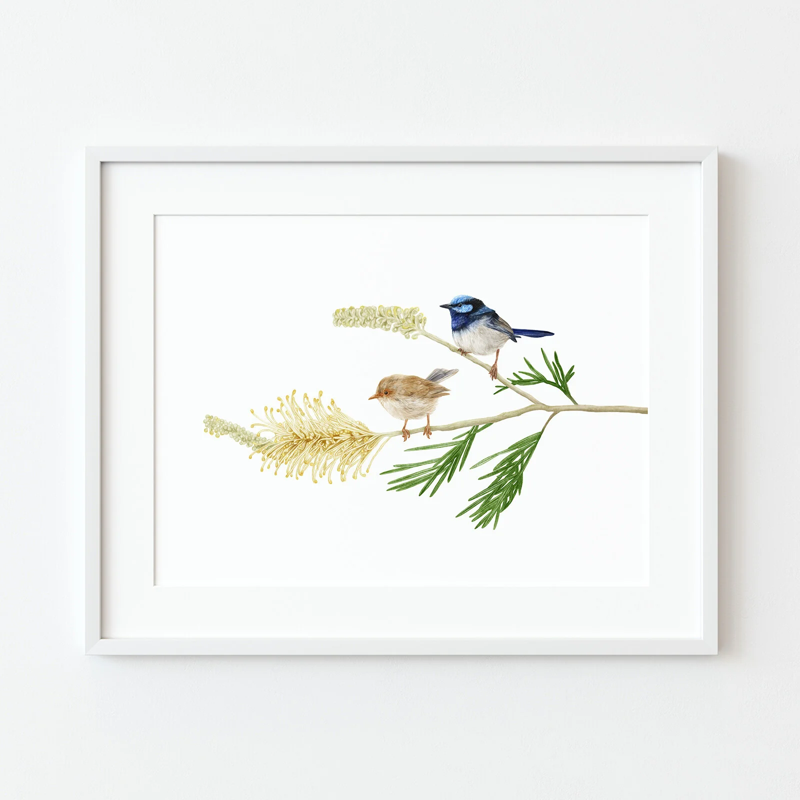 jo-murphy-wrens-print-frame.jpg
