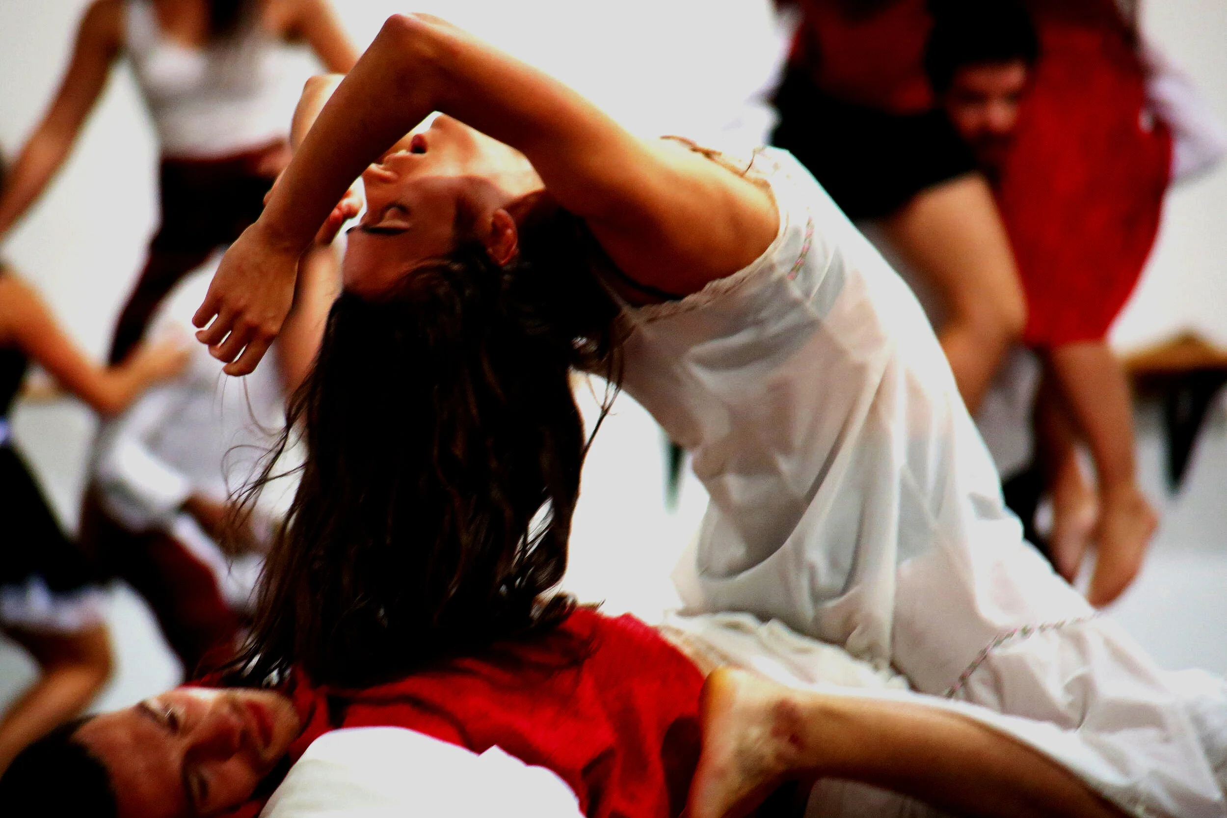 Find what you love and let it kill you (SEAD 2016)