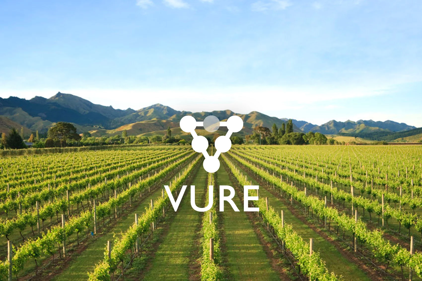 Introducing Vure - Refining Viticulture Yield Estimations