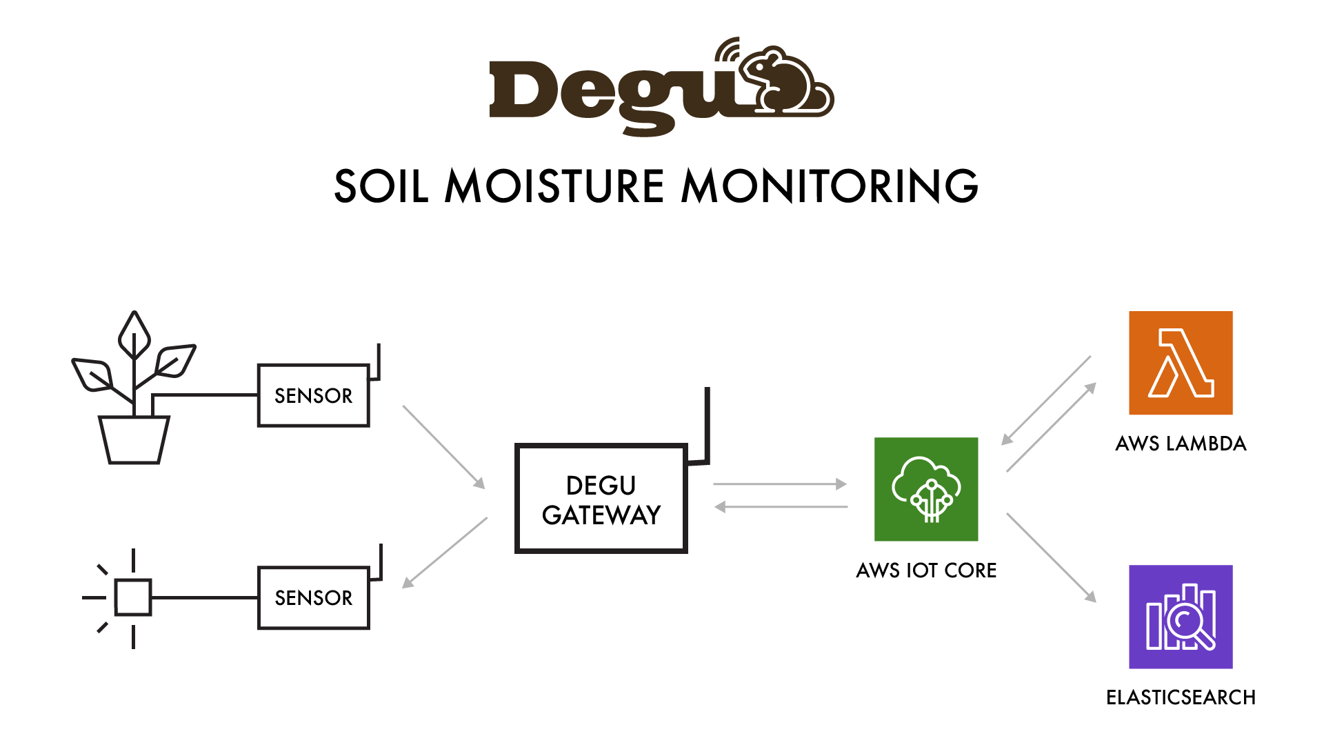 Degu IoT System Feedback with AWS Lambda