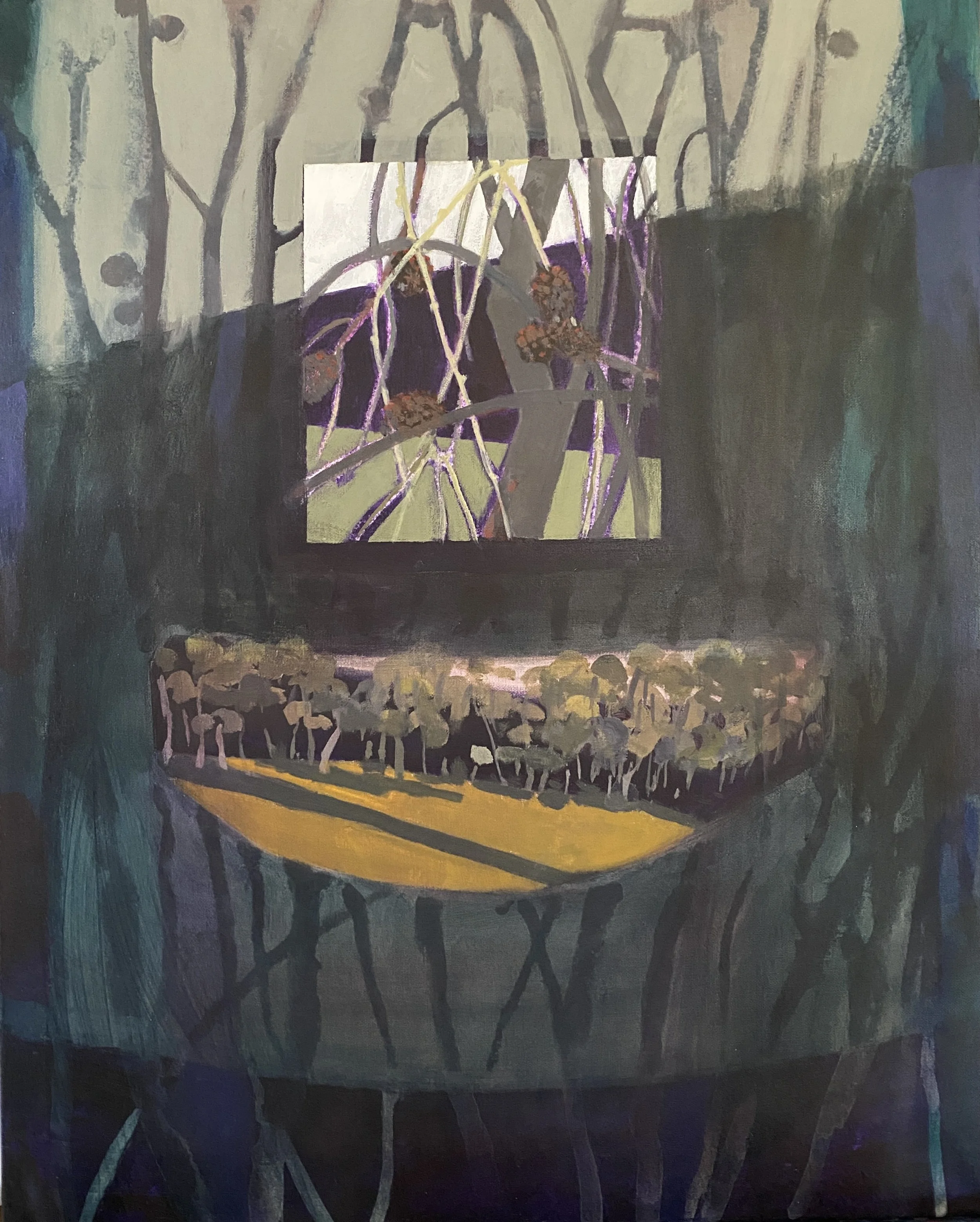 She-oak Forest -Western Slope