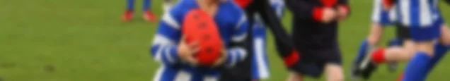 Safe Sports for AFL II.jpg