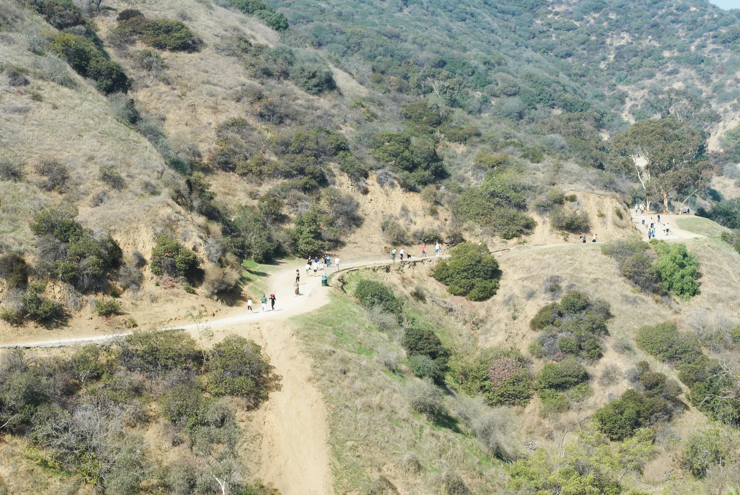 _DSC3500.jpg