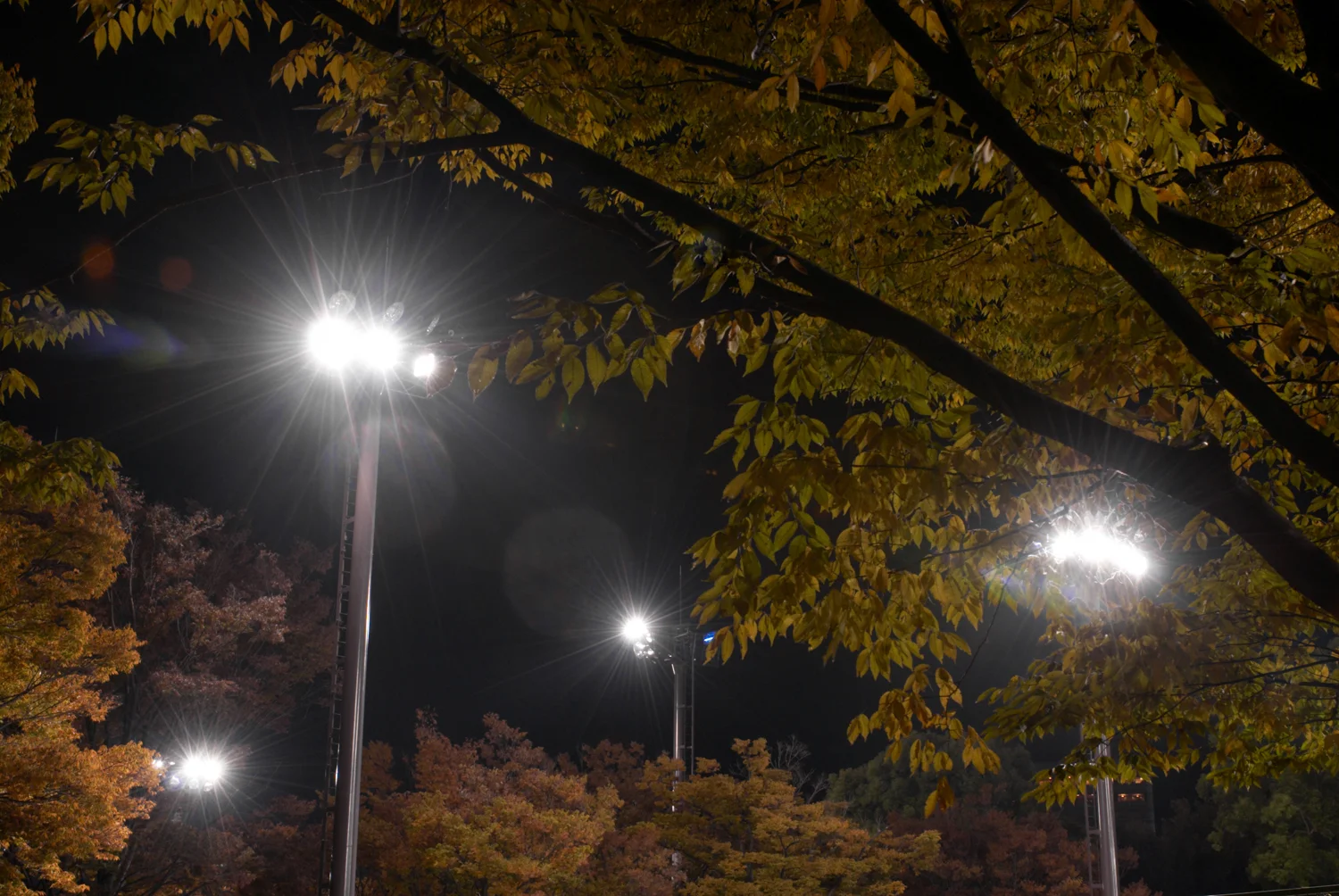 _DSC9645-W1.jpg