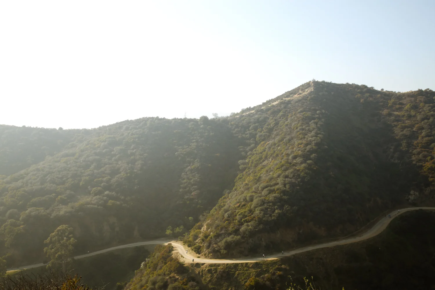 _MG_1229.jpg