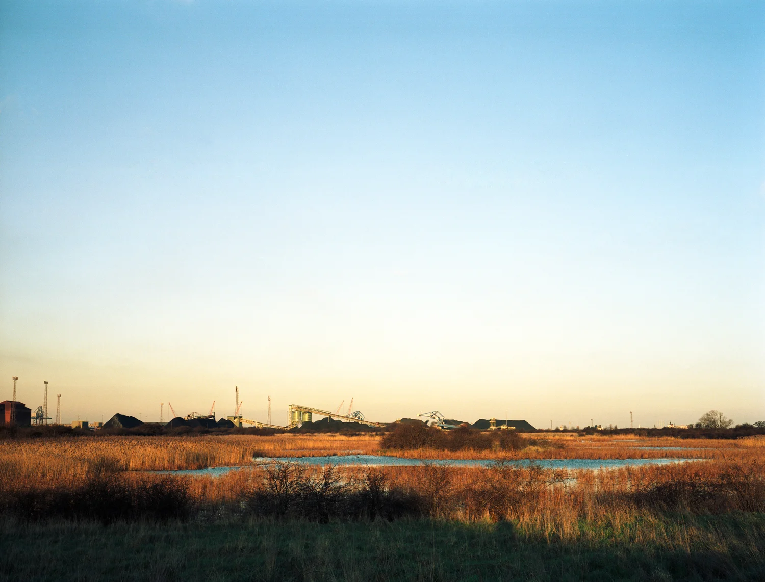 immingham4-F-USM.jpg