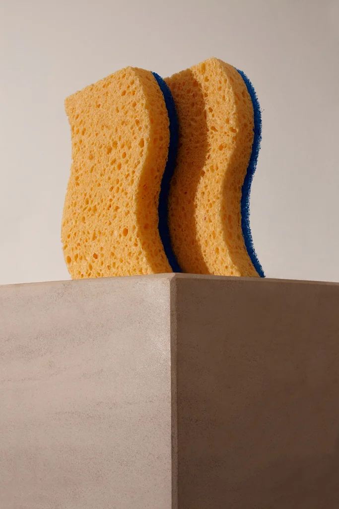 Sponges 1 / 3 Photography by Tom Hartford