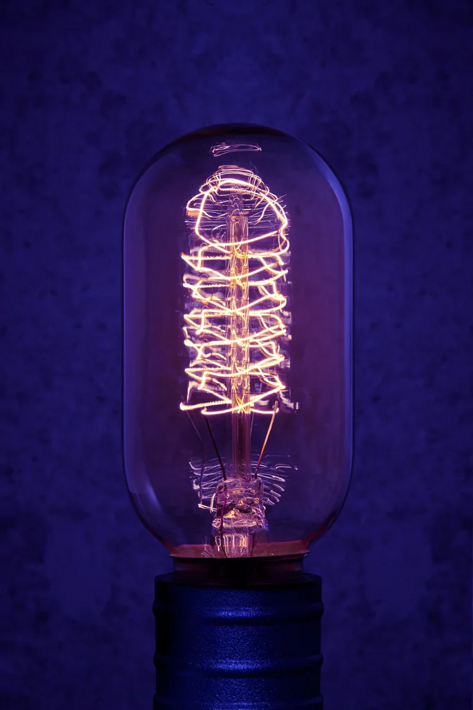 TH_LW_Bulb_1.jpg