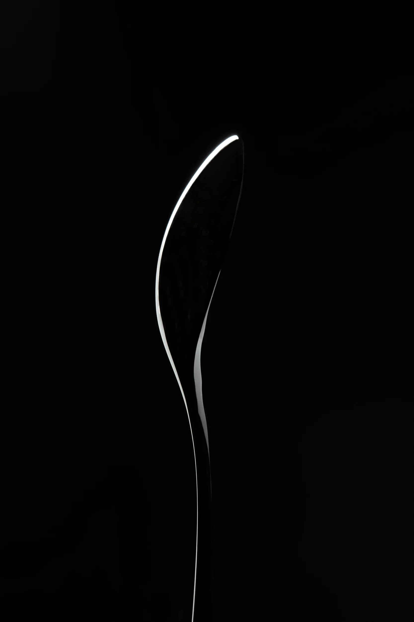 icon-artist-management-still-life-Welch-03.jpg