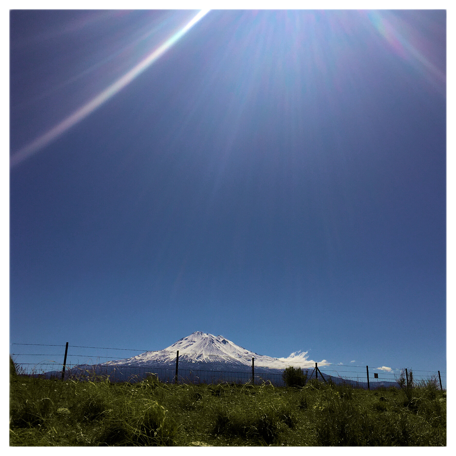 Mount Shasta