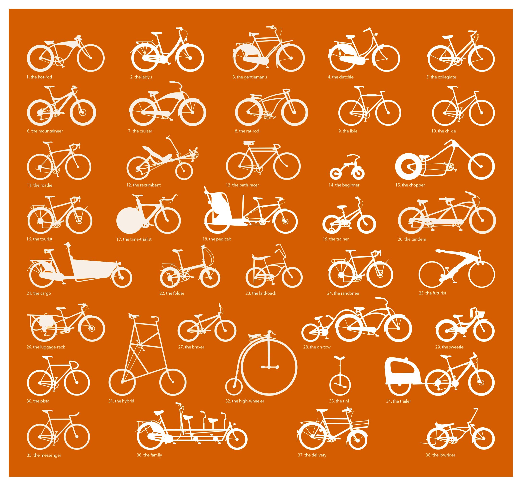 bikedecals.jpg