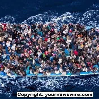 Migrant or Refugee?