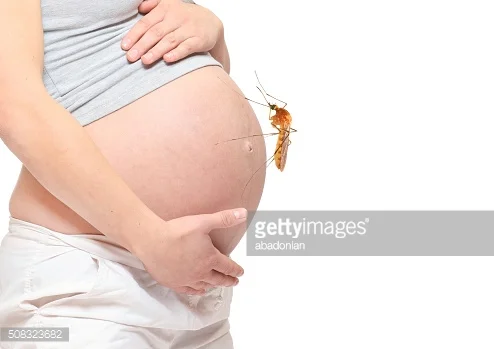 The Zika Virus:  What’s All The Commotion About?