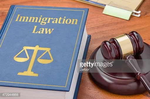 Can a 4 Year Old Represent Herself in Immigration Court?