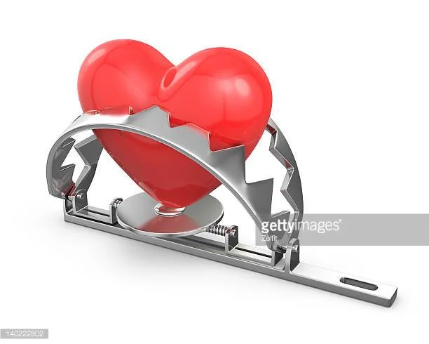 Still Searching: The Need for International Humane Trapping Standards