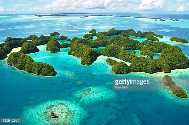 Preserving the Ocean: Palau’s National Marine Sanctuary Act