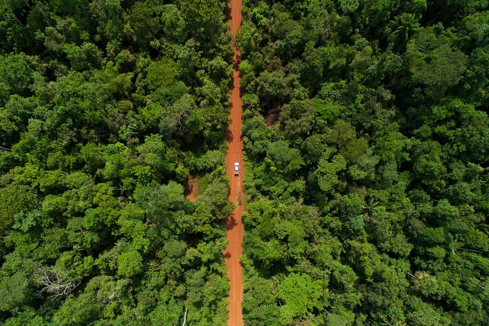 Brazil and the future of the Amazonian Rainforest