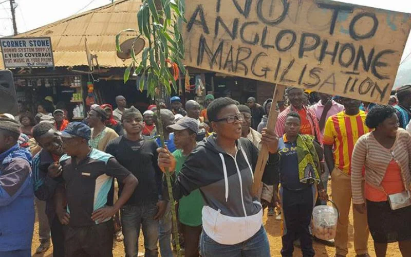 The Remnants of Colonization Series - Crisis in Cameroon