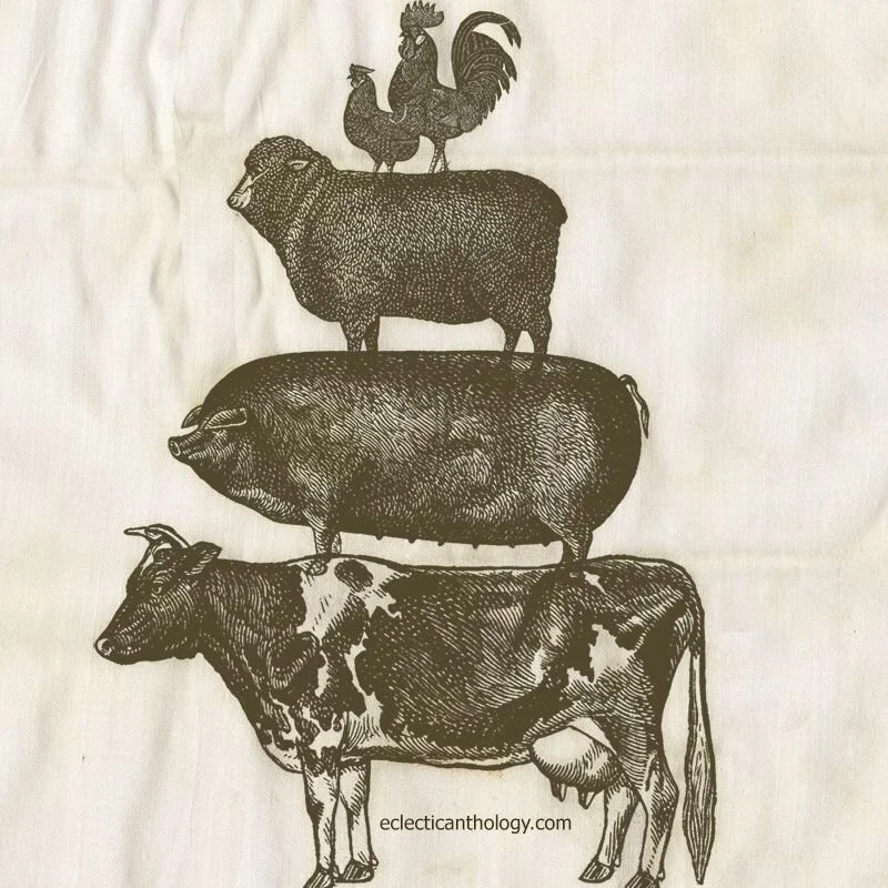 The World Health Organization’s Capacity to Improve the Meat and Animal Byproduct Industry as well as the Industry’s Impact on Consumers and the Environment