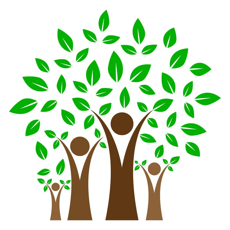 Women in Environmental Decision Making 