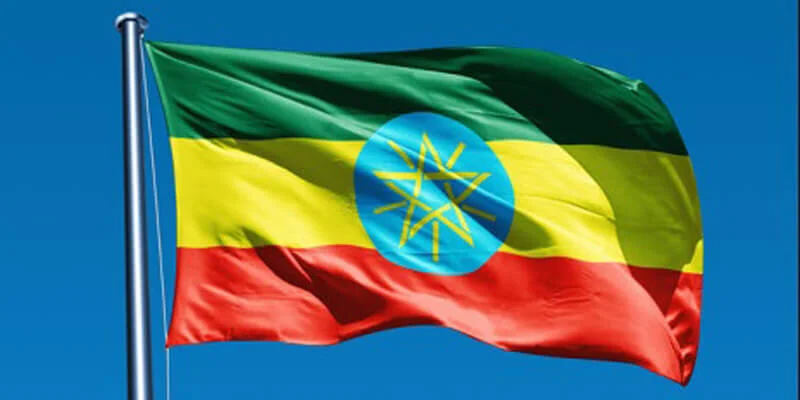 A Sub-Sharan Exploration! The Ins and Outs of How to Navigate Doing Business in Ethiopia