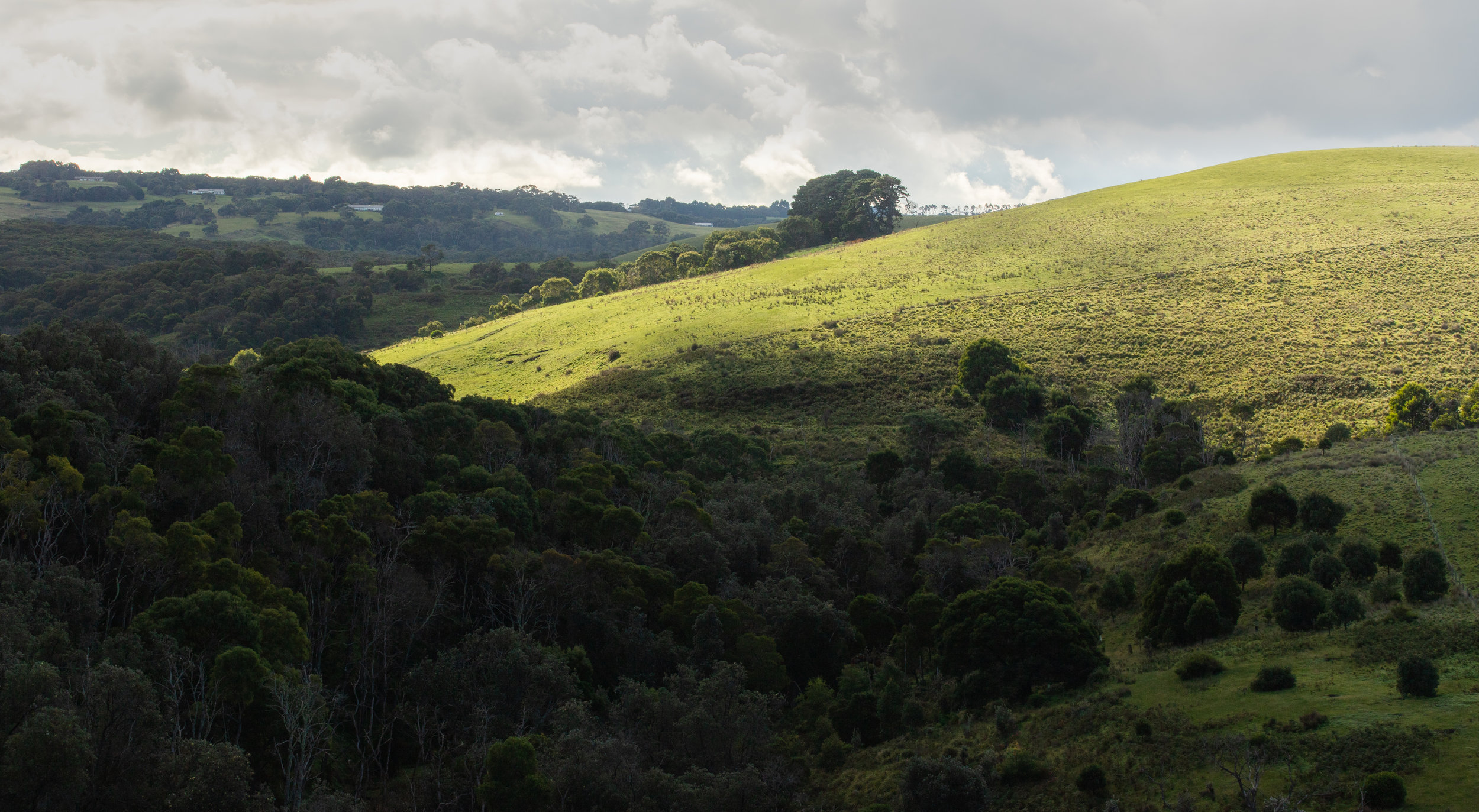 The Economic Opportunities for Thailand’s Hill Tribes and the Need for Economic Agency