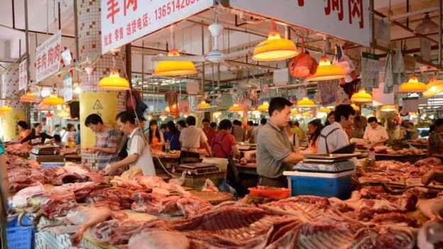 China’s Wildlife Markets: The Greatest Risk to Human and Animal Health  