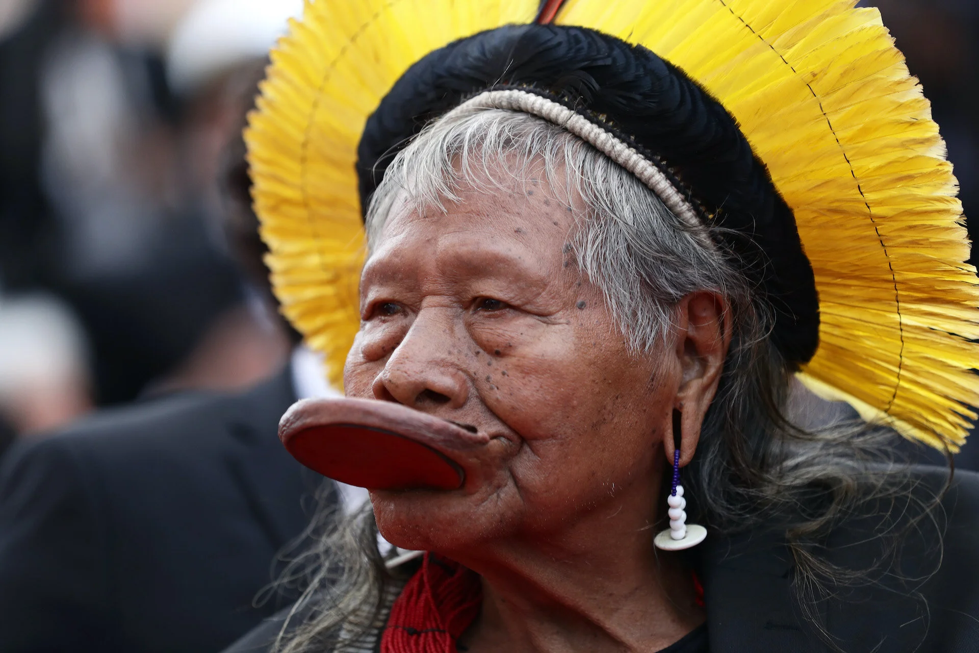 The Destruction of the Amazon Rainforest: The Need to Recognize Ecocide as an International Crime Under the Rome Statute 