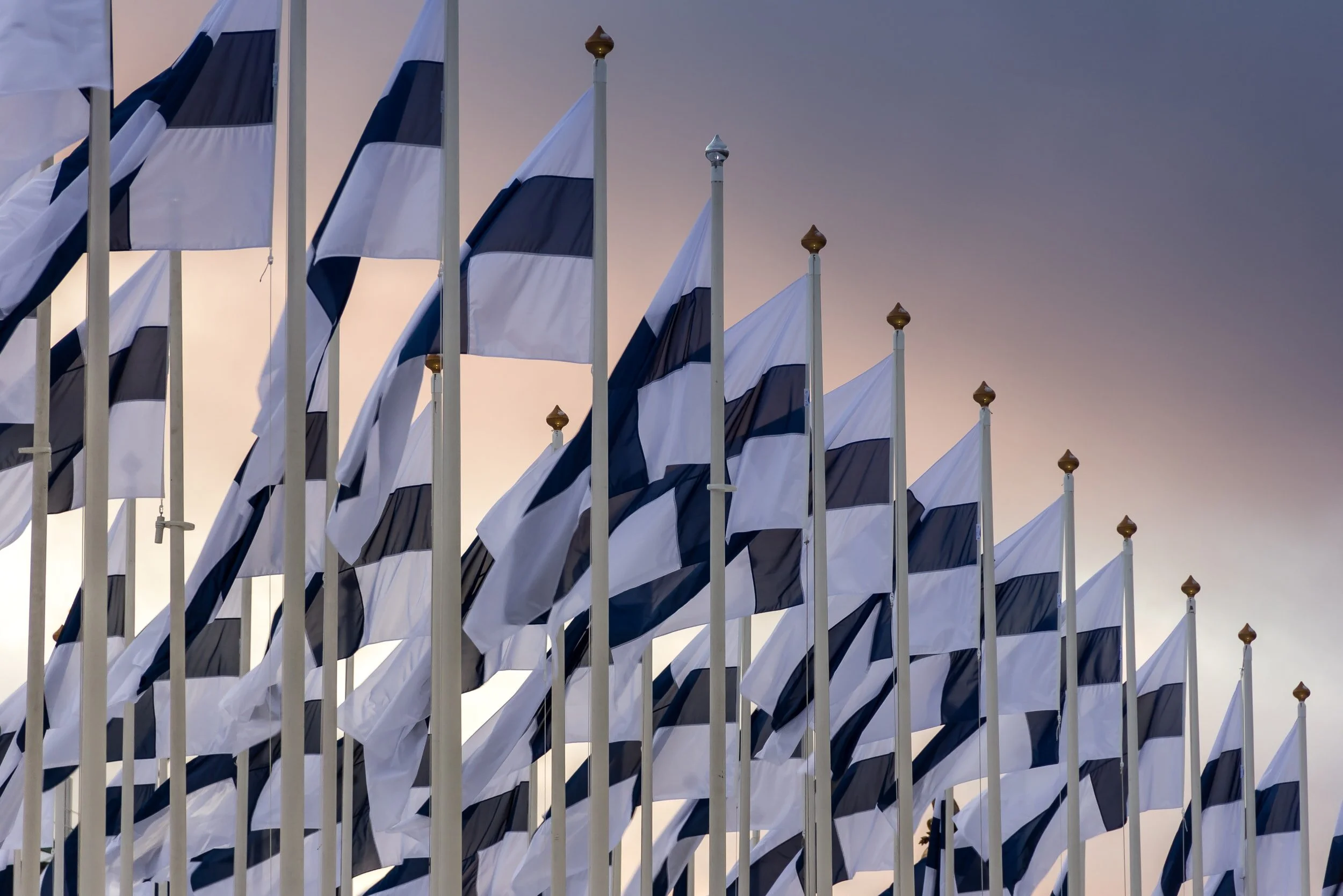 Prison Nurseries in Finland: Balancing the Child’s Best Interests