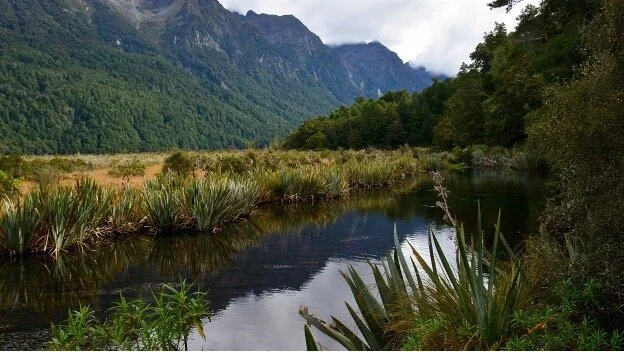 A New Model for Regulating Agricultural Non-Point Source Pollution: New Zealand’s Final Push to Restore Deteriorating Freshwater