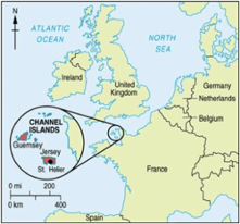 Jersey: Tax Haven or Offshore Financial Center? Or Both?