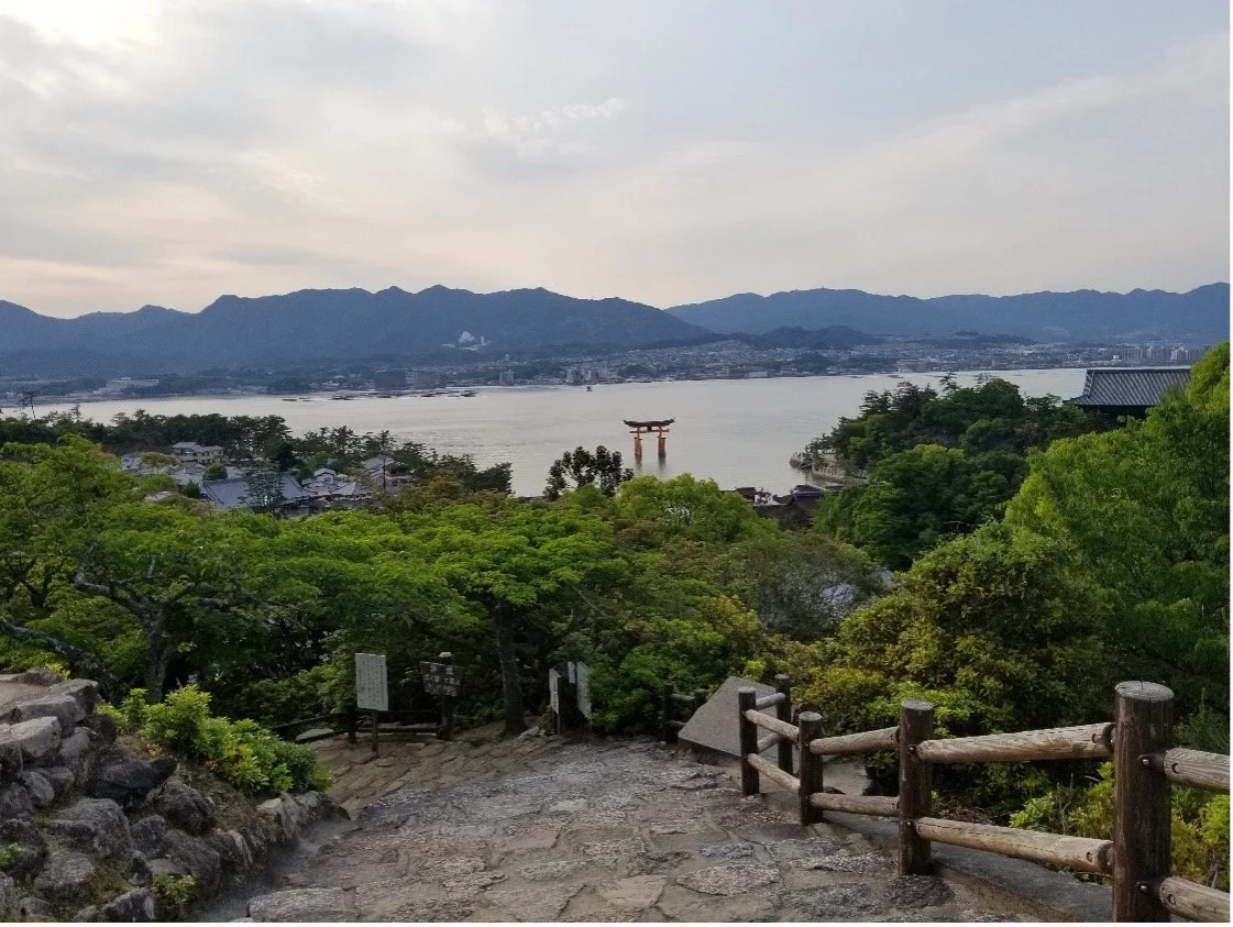Can Japan Aid in Refuge Crises?