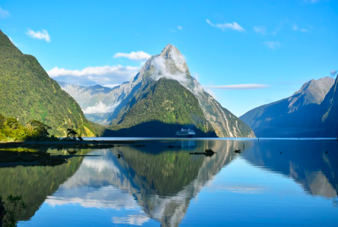 New Zealand: Advocating for the Rights of Sexual Assault Victims 