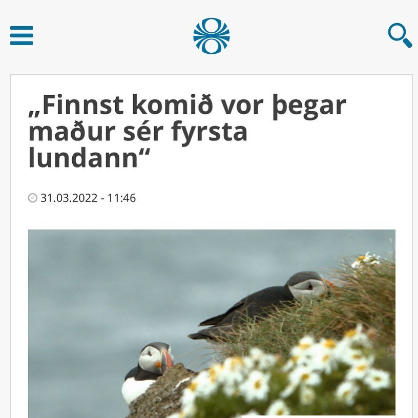 &lsquo;It feels like spring, seeing the first puffin&rsquo; says Alfre&eth; Gar&eth;arson, the fisherman who spotted the first puffin this year in Gr&iacute;msey. Of course the puffins existed before but only out on sea, this is the first puffin seen