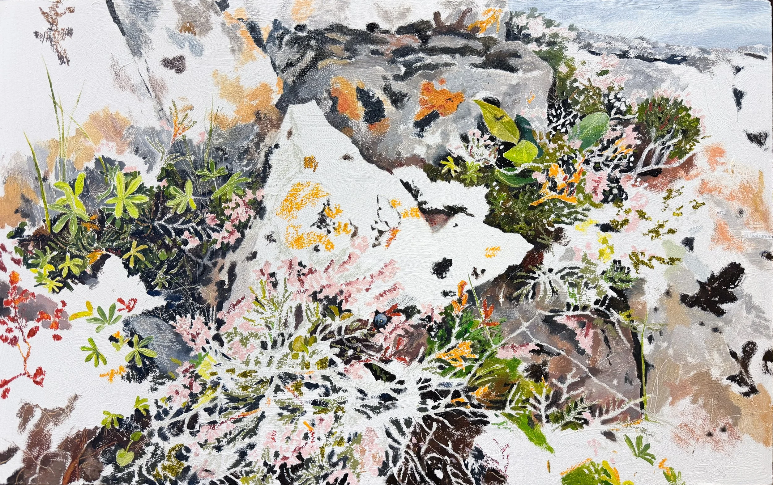 11. yst í jöðrunum (beitilyng) 