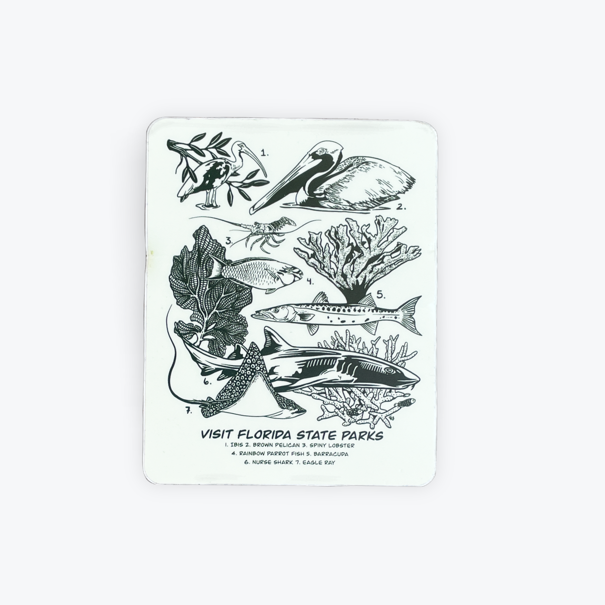 Freehand Goods State Parks Sticker