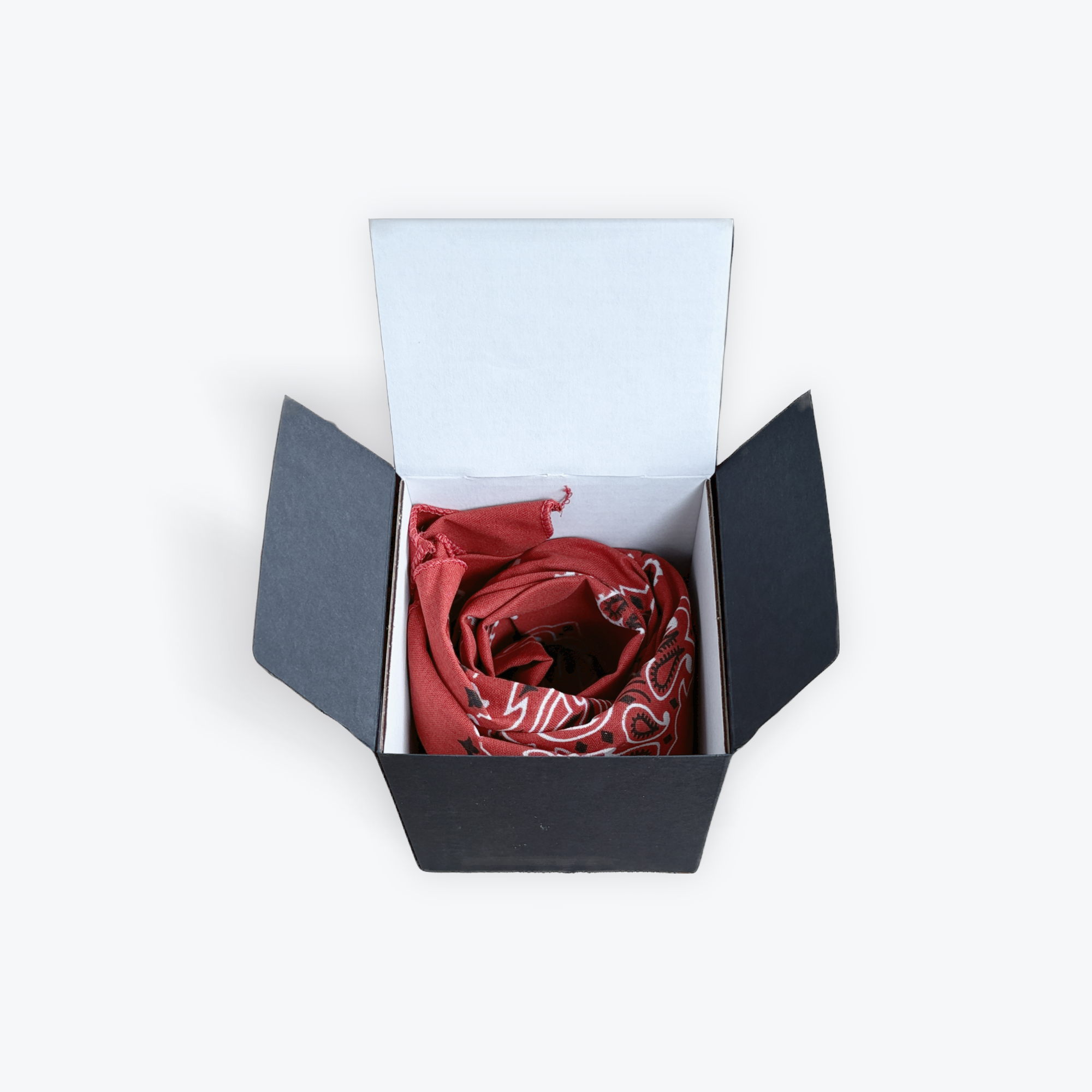 127F01A9-0477-452F-A52A-612FFF5B4F95.PNG