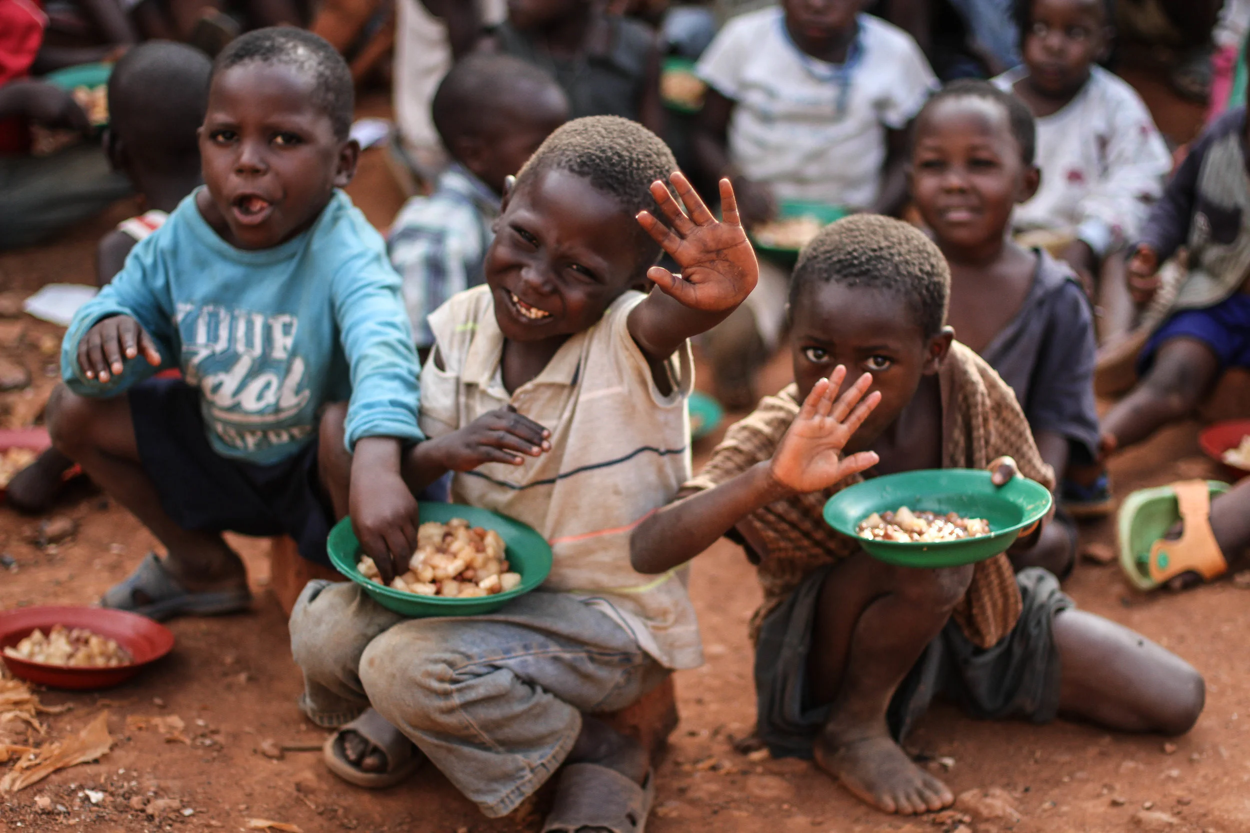 Feeding project.jpg