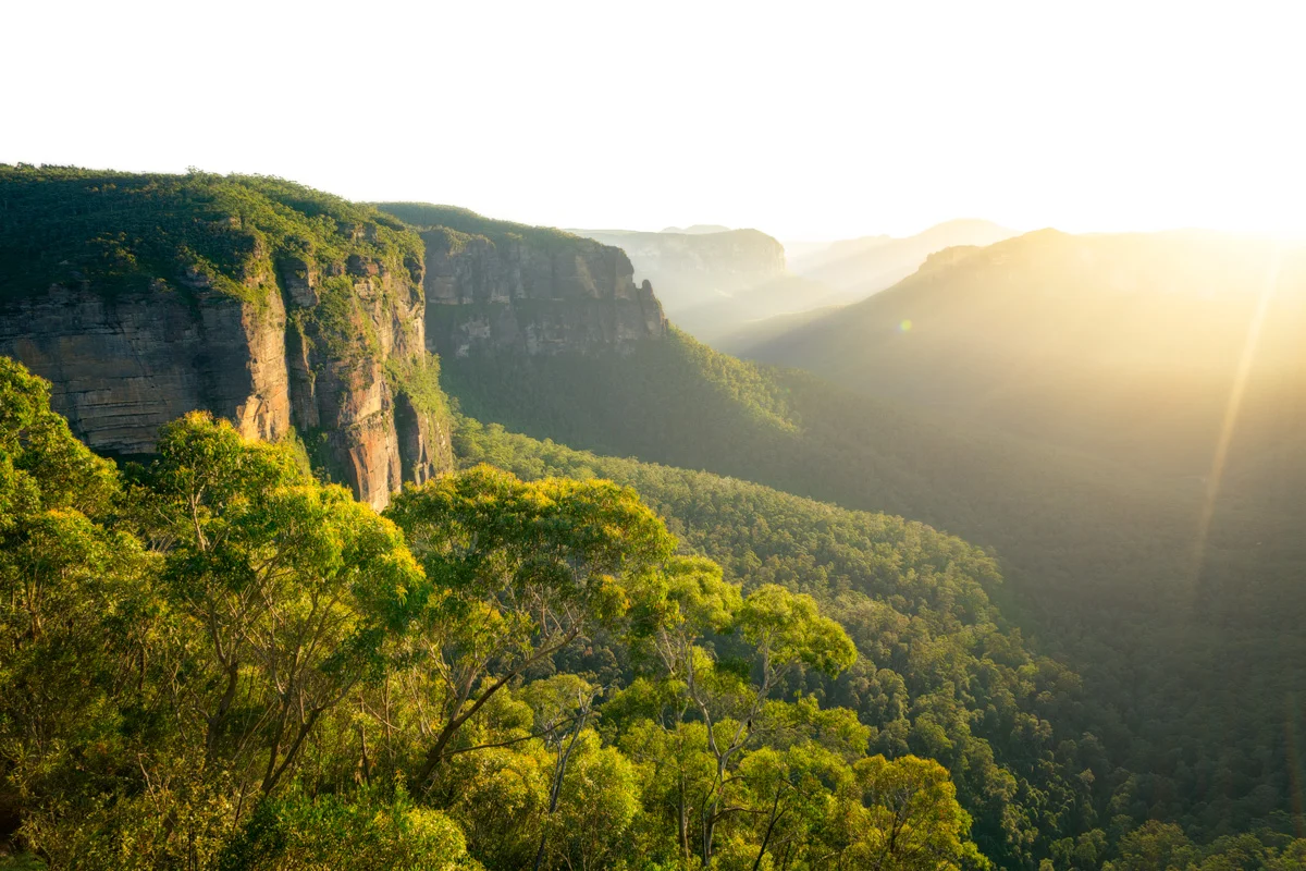The morning's golden sun rays, shining down through to the valley floor of the Blue Mountains , from Govetts Leap lookout.