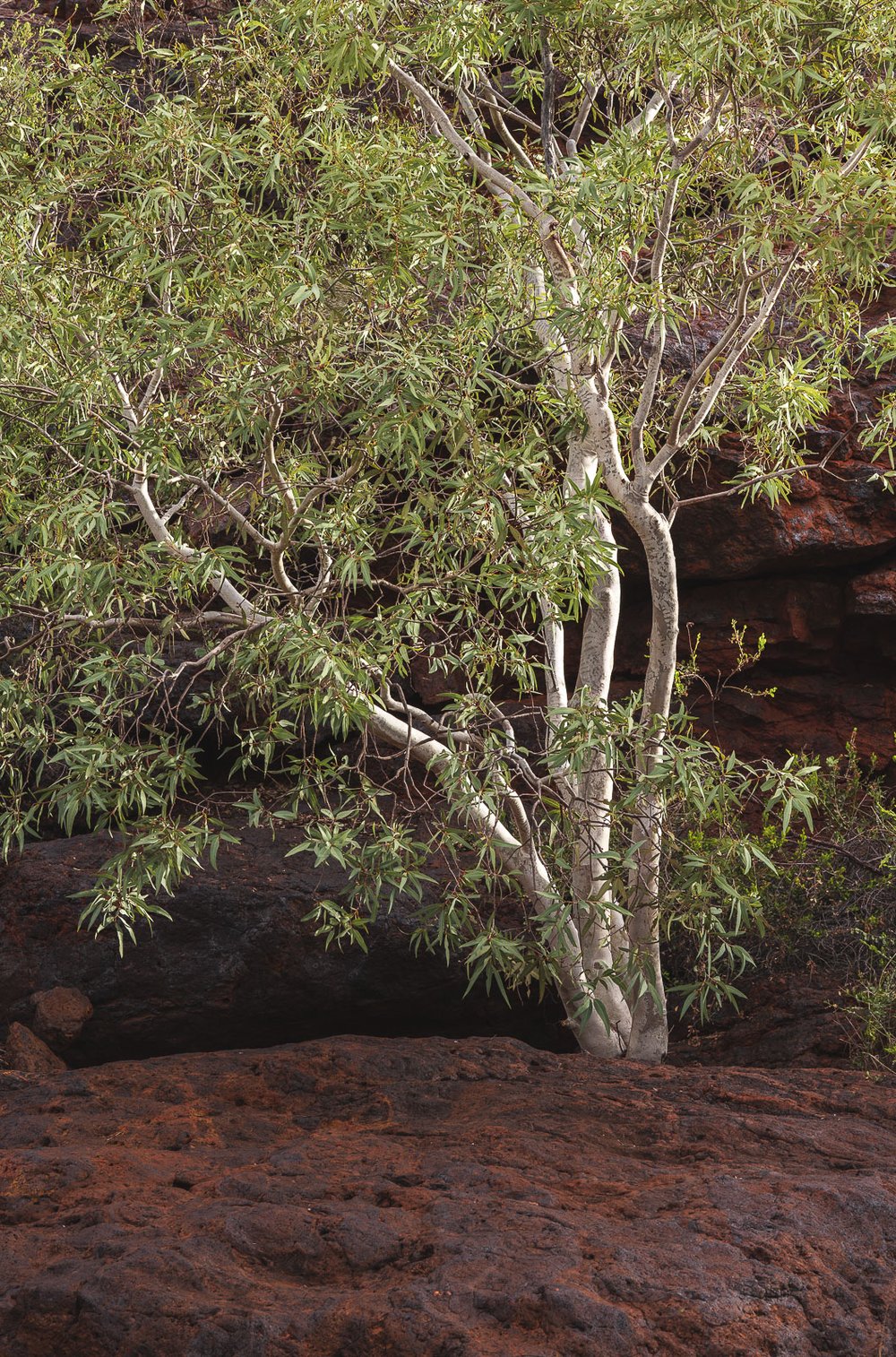 Karijini-Outback-Australia-14.jpg